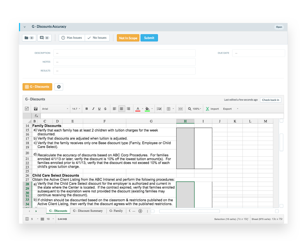 Audit Fieldwork & Testing